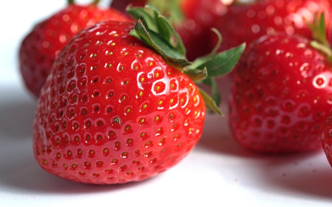 Memahami Proses Penerbitan BPJS di Dinas Kesehatan Kabupaten Pringsewu